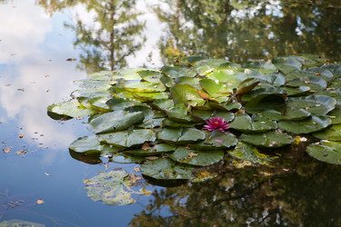 Similar image 5518916