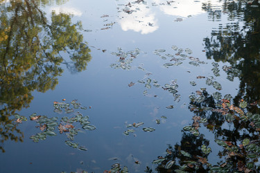 Similar image 5518917