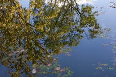 Similar image 5518918