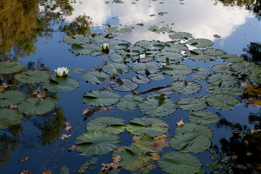 Similar image 5518919