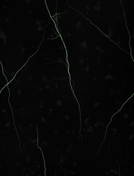 Similar image 5519029