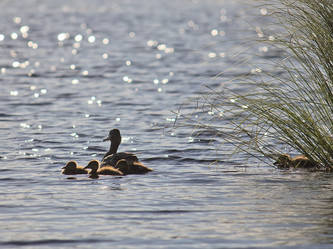 Similar image 5519070