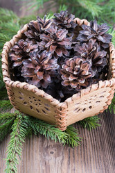 Similar image 5519078