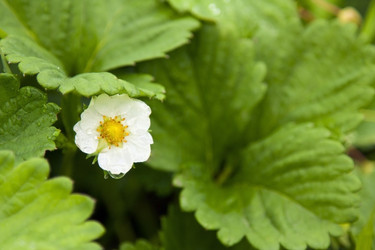 Similar image 5519088