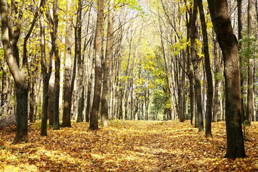 Similar image 5519121