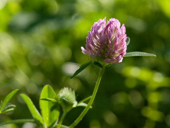 Similar image 5519128