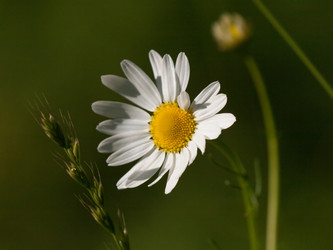 Similar image 5519129