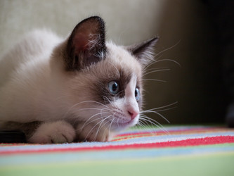 Similar image 5519131