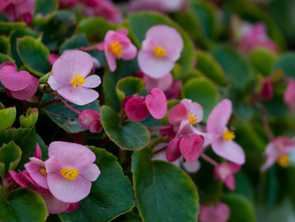 Similar image 5519132