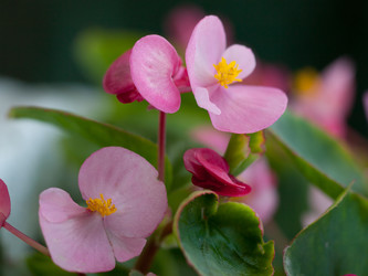 Similar image 5519133