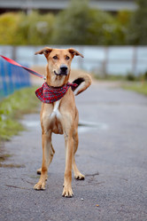 Similar image 5519139