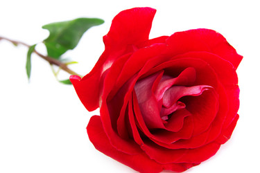 Similar image 5519150