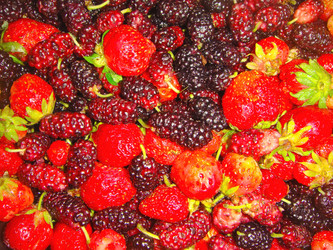 Similar image 5519190