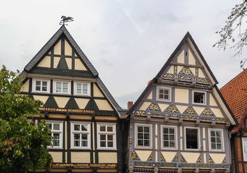 Similar image 5519231