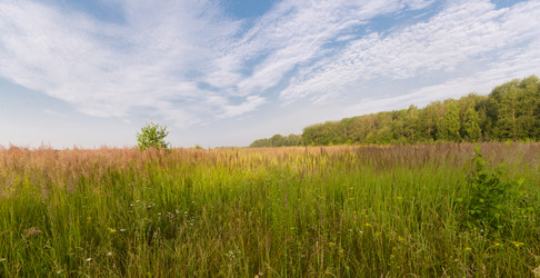 Similar image 5519241