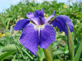 Similar image 5519243