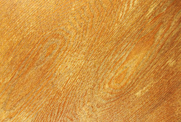 Similar image 5519252