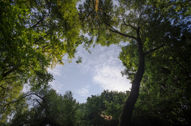 Similar image 5519261