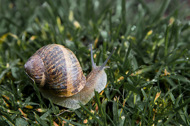 Similar image 5519262