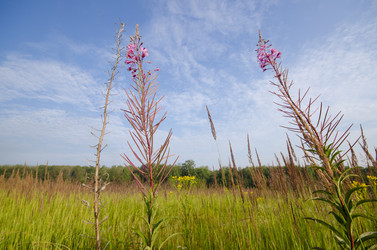 Similar image 5519263