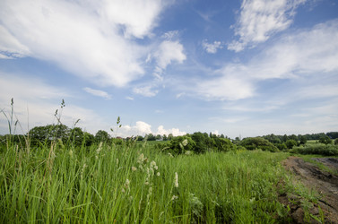 Similar image 5519267