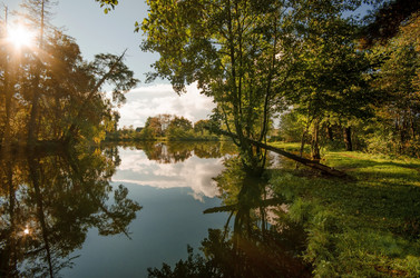 Similar image 5519269