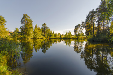 Similar image 5519270