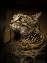 Similar image 5519371