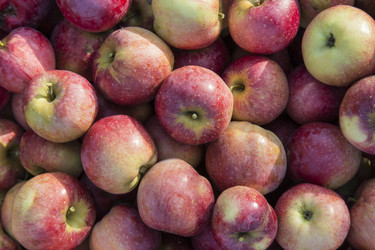 Similar image 5519384