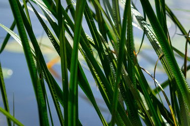 Similar image 5519401