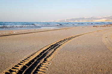 Similar image 5519404