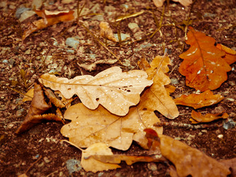 Similar image 5519407