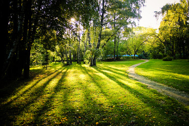 Similar image 5519408