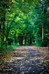 Similar image 5519409