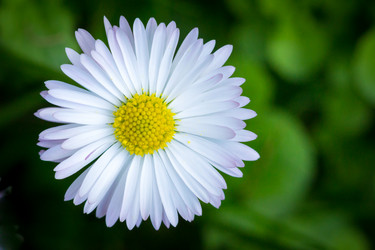 Similar image 5519411