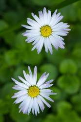 Similar image 5519412