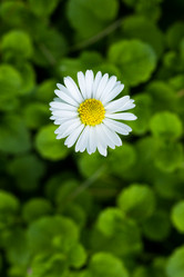 Similar image 5519413