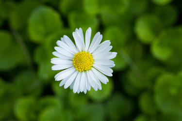 Similar image 5519414