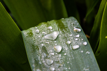 Similar image 5519422