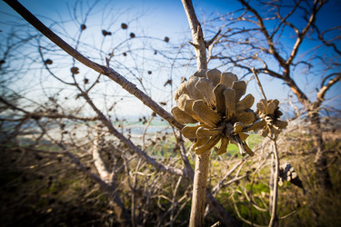 Similar image 5519423