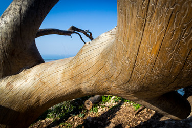 Similar image 5519424