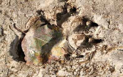 Similar image 5519528