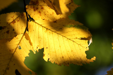 Similar image 5519555