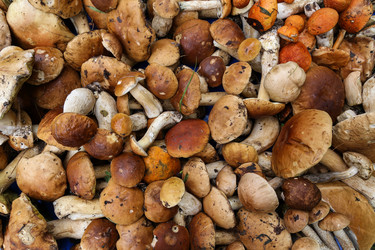 Similar image 5519607