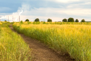 Similar image 5519676