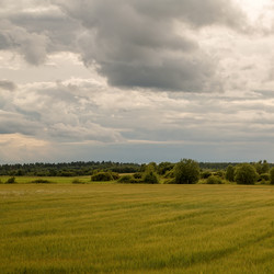 Similar image 5519679