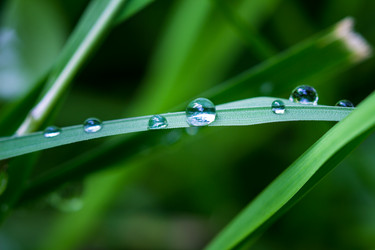 Similar image 5519776