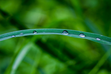 Similar image 5519778