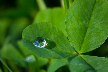 Similar image 5519779