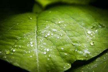 Similar image 5519780